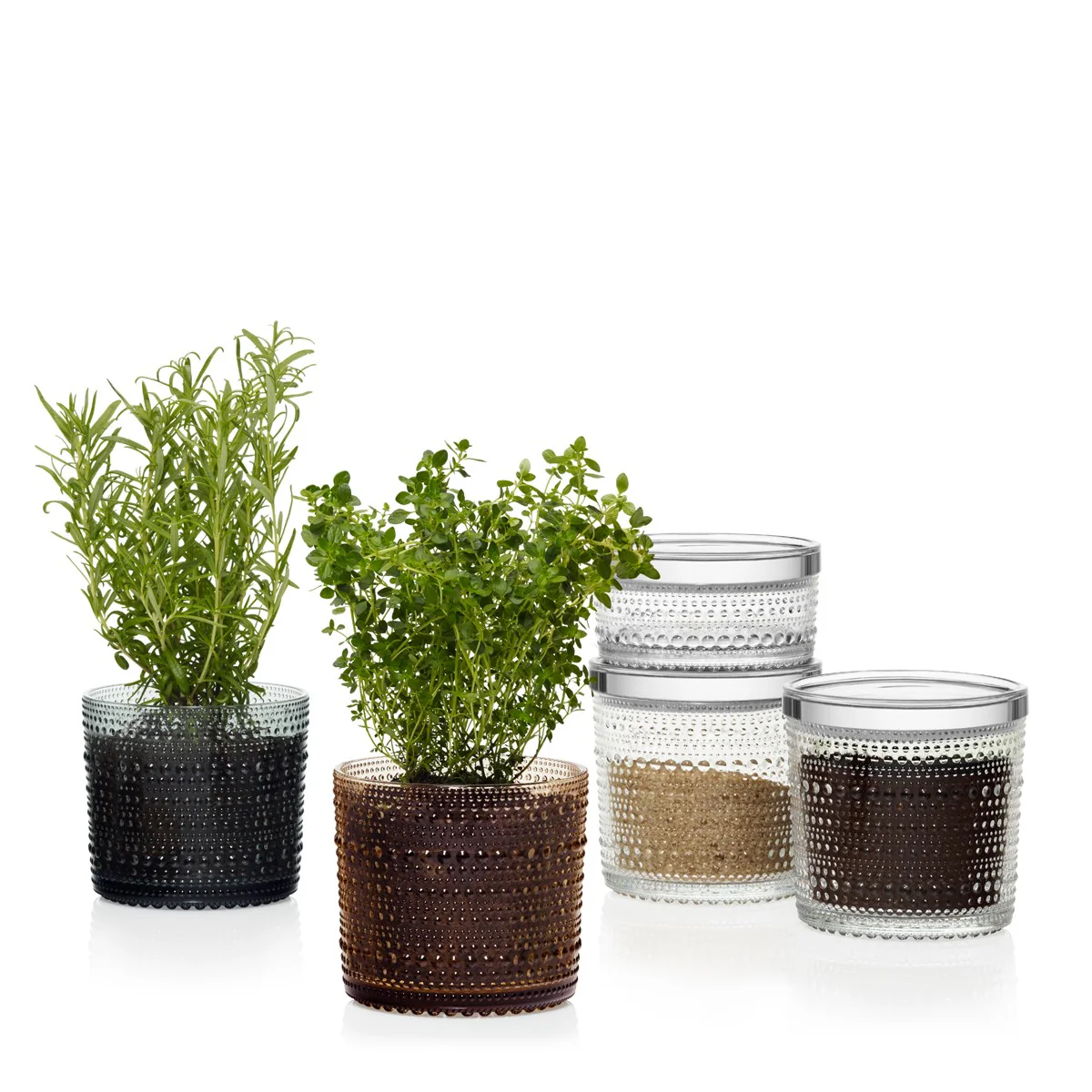 iittala Kastehelmi Clear Small Jar - Image 4